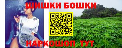 сатива Бузулук