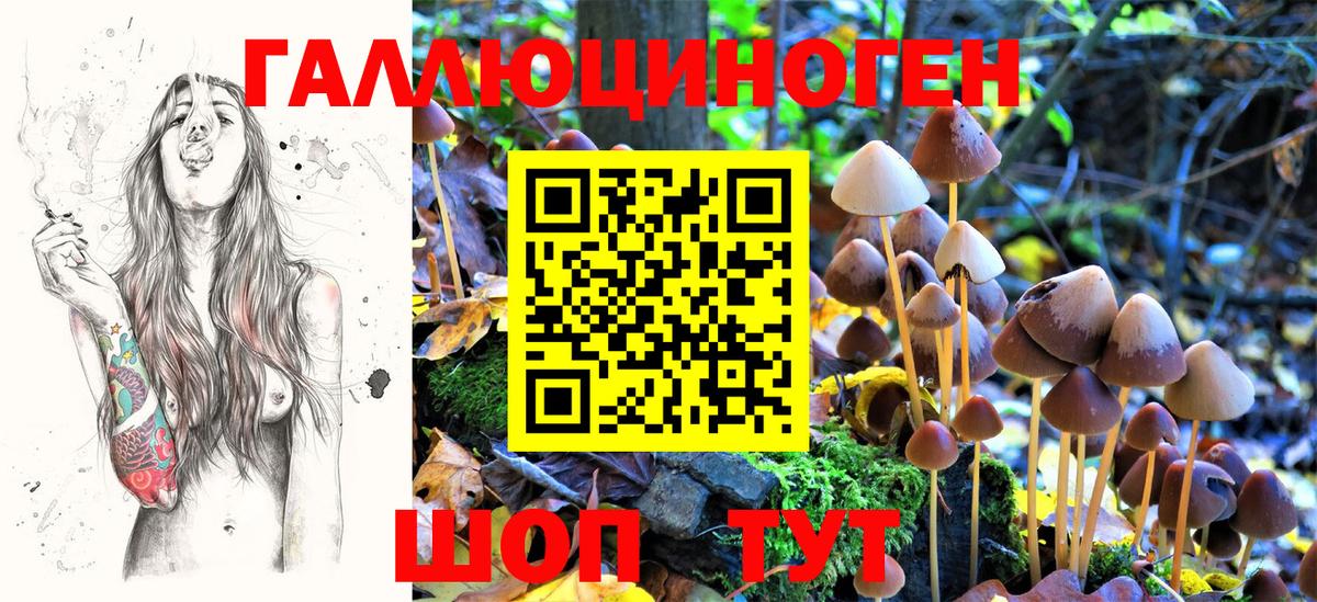 Галлюциногенные грибы Magic Shrooms Североморск