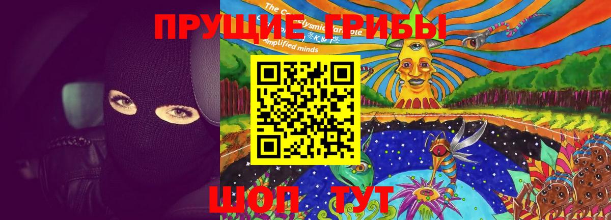 закладка  Вход с VPN  Североморск  Псилоцибиновые грибы MAGIC MUSHROOMS  Псилоцибиновые грибы ЛСД 